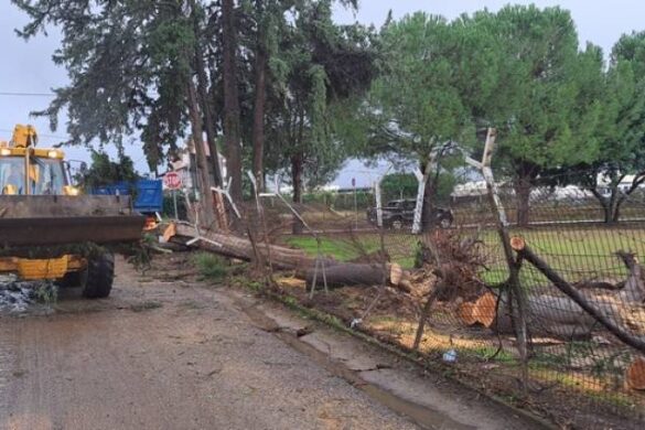Συνεχίζονται οι εργασίες αποκατάστασης των ζημιών μετά τον καταστροφικό ανεμοστρόβιλο στο Αγρίνιο (Φωτογραφίες)