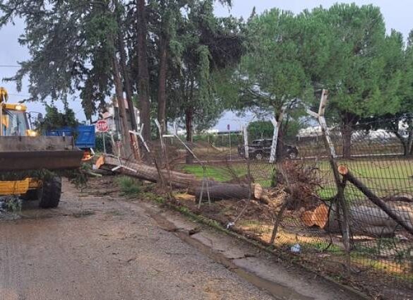 Συνεχίζονται οι εργασίες αποκατάστασης των ζημιών μετά τον καταστροφικό ανεμοστρόβιλο στο Αγρίνιο (Φωτογραφίες)