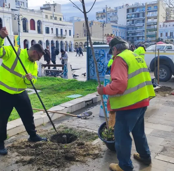 Πάτρα: Γεμίζει και πάλι με δέντρα η πλατεία Γεωργίου