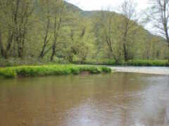 Καλάβρυτα: Αντιρρήσεις για τη δημιουργία υδροηλεκτρικού εργοστασίου στις πηγές του ποταμού Λάδωνα από τη βουλευτή Αχαΐας Σία Αναγνωστοπούλου