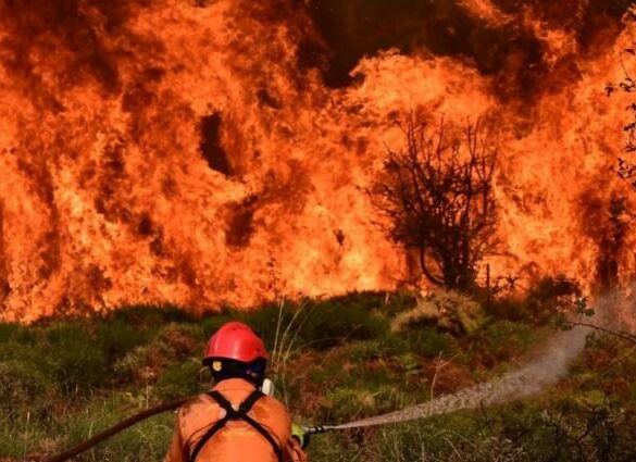 Οι περιοχές της Περιφέρειας Δυτικής Ελλάδας που θα απαγορεύεται η κυκλοφορία λόγω αντιπυρικής περιόδου