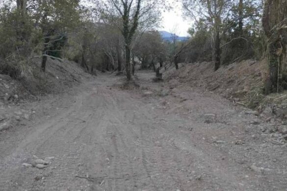 ΟΙ.ΚΙ.ΠΑ.: Άστοχες οι επεμβάσεις της Περιφέρειας στο Σελέμνο