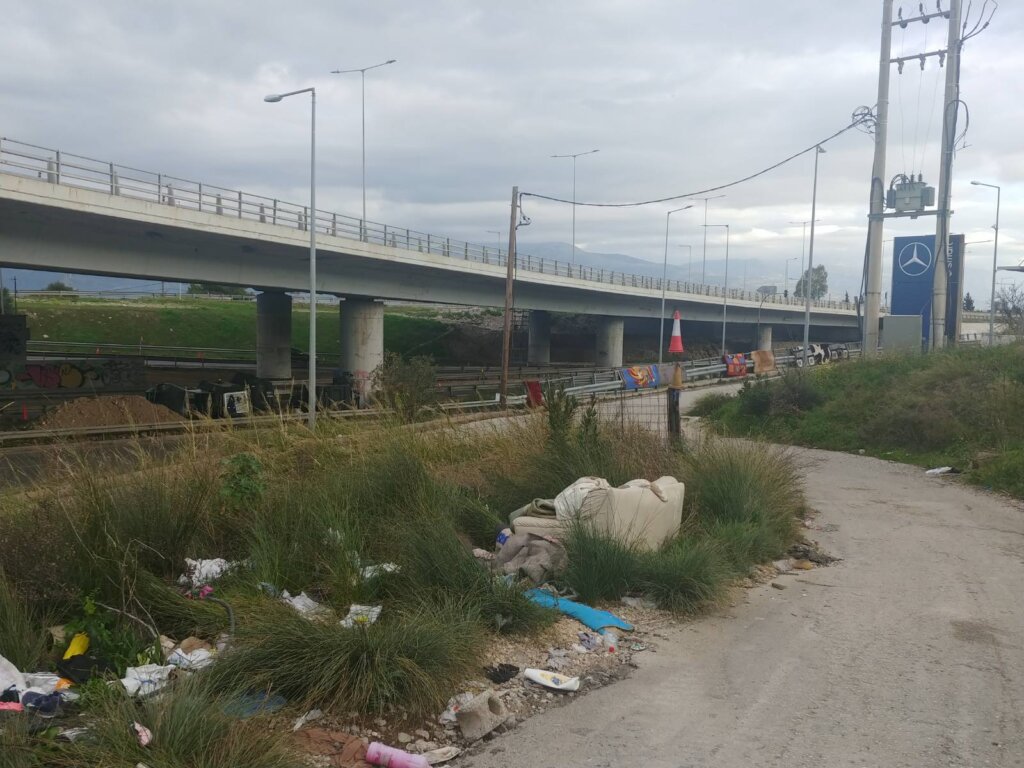 fineview.gr roma roma