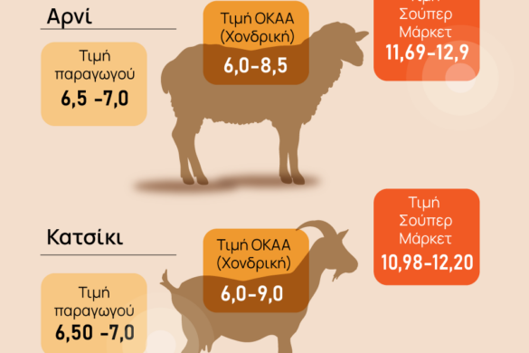 Αγροτικά προϊόντα – Γιατί δεν κλείνει η ψαλίδα στις τιμές παραγωγού – καταναλωτή
