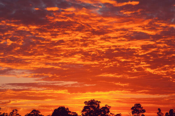 Πυρόπληκτοι – Παράταση και αναστολή οφειλών στην Εφορία