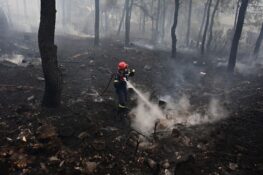 Ξεκινά από σήμερα η αντιπυρική περίοδος