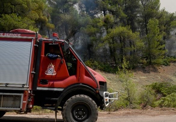 Φωτιά στη Λαυρεωτική – Σηκώθηκαν 2 ελικόπτερα