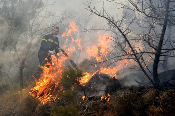Πυροσβεστική: Μία προσαγωγή για την πυρκαγιά στον Κουβαρά – Συνεχής μάχη στα μέτωπα