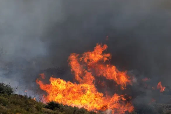 Πυρκαγιές: Βελτιωμένη η εικόνα στο Μεσολόγγι – Υπό μερικό έλεγχο η φωτιά στην Ηλεία