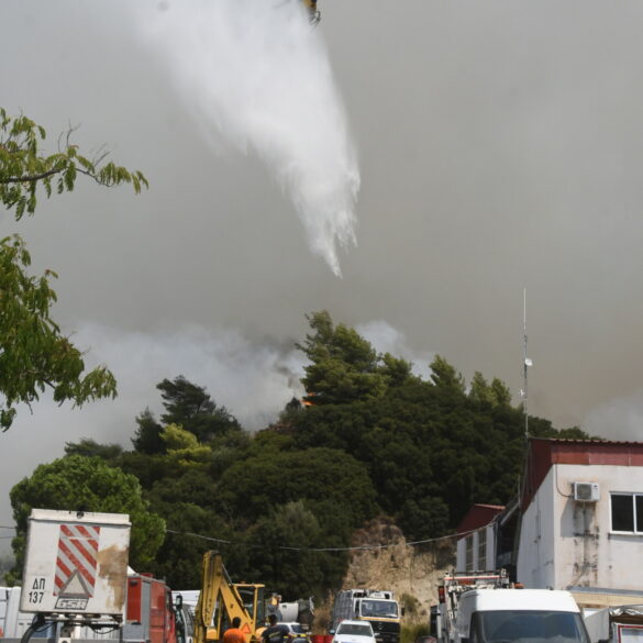 Πάτρα: Σε επιφυλακή αύριο Πέμπτη ο Δήμος υπό το φόβο πυρκαγιάς – Απαγόρευση κυκλοφορίας