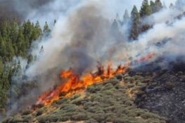 Τρεις συλλήψεις για πυρκαγιές σε Ηλεία, Κιλκίς και Εύβοια