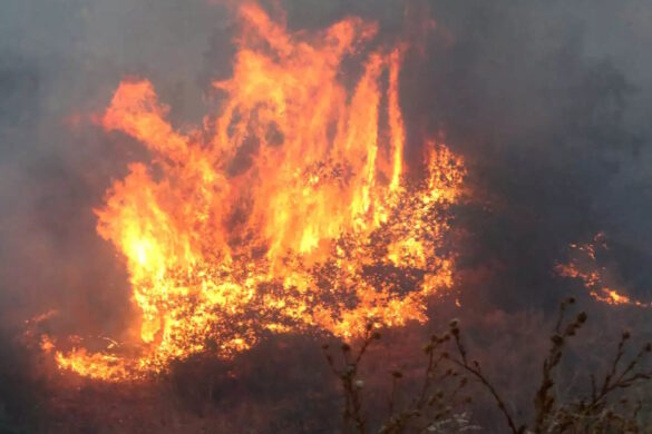 Πυροσβεστική: Οι αναζωπυρώσεις δημιουργούν διαρκώς νέες εστίες που εξαπλώνονται αστραπιαία