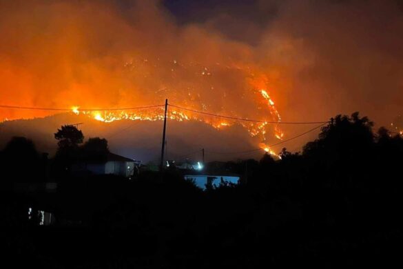 Νέα χρηματοδότηση 500.000 ευρώ για αποκατάσταση ζημιών από την πυρκαγιά στην Δ.Ε. Διακοπτού