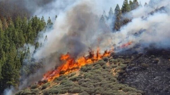 Πάτρα: Πού απαγορεύεται σήμερα η κυκλοφορία υπό τον κίνδυνο πυρκαγιάς
