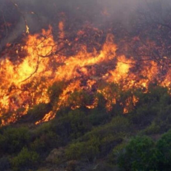 Υψηλός ο κίνδυνος πυρκαγιάς στην Δυτική Ελλάδα