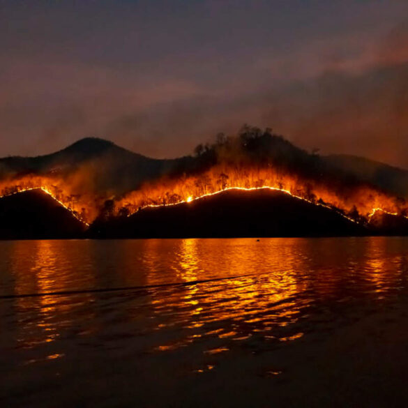Καταβλήθηκε η τρίτη δόση αποζημιώσεων στους πυρόπληκτους