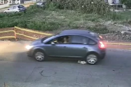 Ταυτοποιήθηκε η οδηγός που καταγράφεται να σκοτώνει αδέσποτο σκύλο στη Γαστούνη