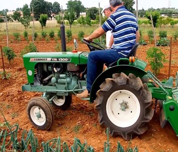 ΑΑΔΕ: Άνοιξε η πλατφόρμα για την επιστροφή ΦΠΑ αγροτών ειδικού καθεστώτος