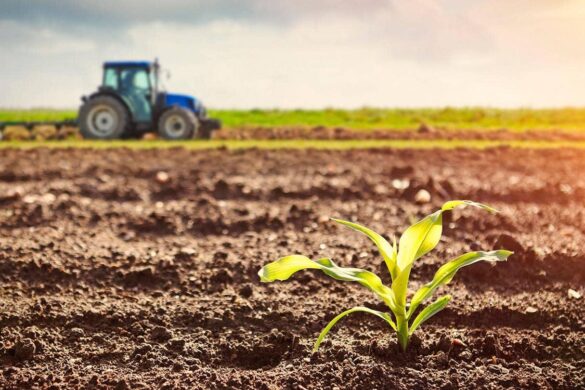 Τι σημαίνει η συμφωνία Mercosur για παραγωγούς και καταναλωτές