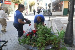 Πάτρα: Κόκκινα γεράνια στη Ρήγα Φεραίου – Εργασίες και στο άνθινο ρολόι της Τριών Συμμάχων