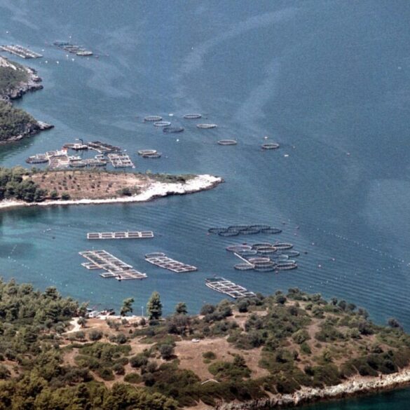 Ευκαιρίες και προκλήσεις για τους νέους στον πρωτογενή τομέα