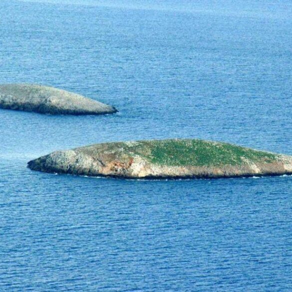 Ίμια: Τύφλωση και ακρισία