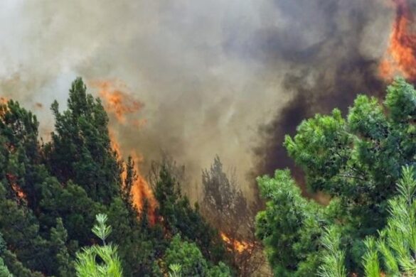 Δυτ. Ελλάδα: Υψηλός κίνδυνος πυρκαγιάς σήμερα Παρασκευή