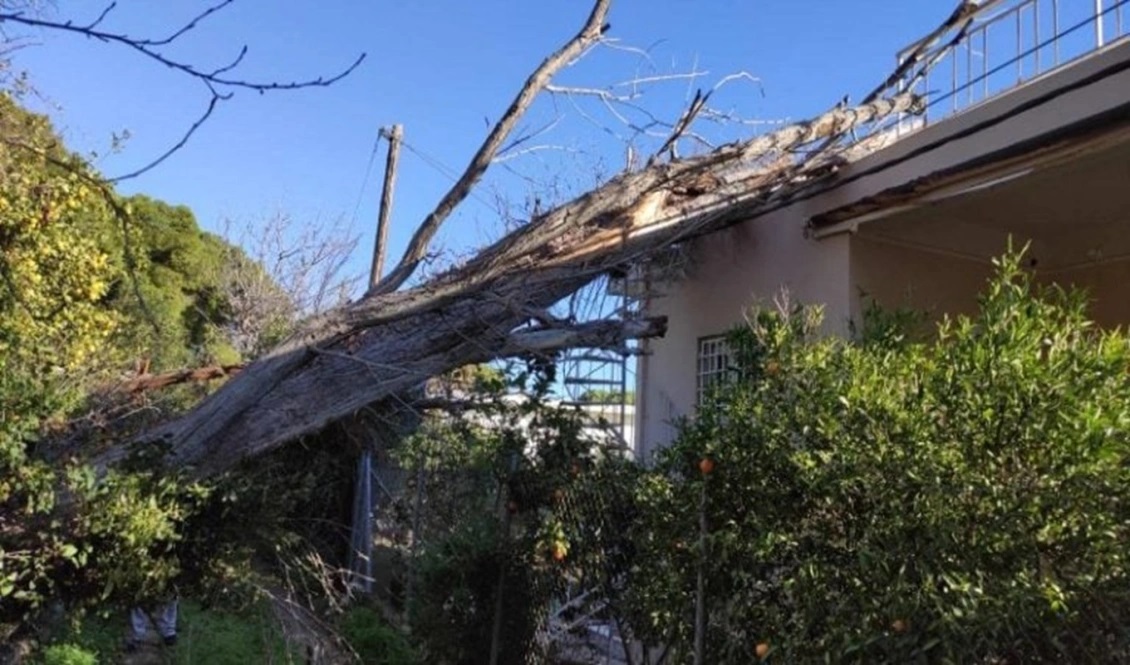 kakokairia patra ptosi dentrou se eisodo oikias