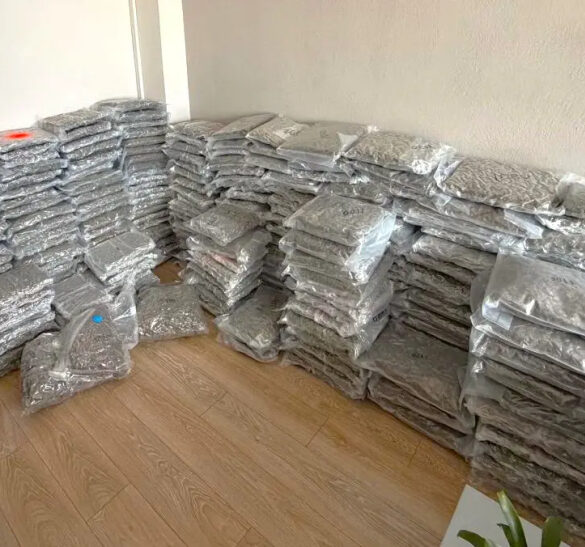 Ηγουμενίτσα: Συνελήφθη 36χρονος με 300 κιλά κάνναβης – Πάνω από 1 εκ. ευρώ η αξία της