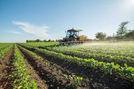 Αναποτελεσματική η ΚΑΠ, προβλήματα με ιστορικά δικαιώματα και Οικολογικά