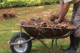 Πάτρα: Καθαρίστε τα οικόπεδα μέχρι 15 Ιουνίου, αλλιώς πρόστιμο!