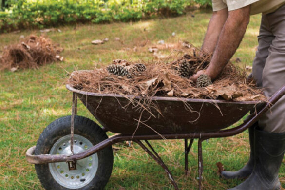 Πάτρα: Καθαρίστε τα οικόπεδα μέχρι 15 Ιουνίου, αλλιώς πρόστιμο!