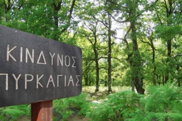 Σε επιφυλακή και σήμερα Πολιτική Προστασία και Πυροσβεστική – Συλλήψεις και πρόστιμα για πρόκληση πυρκαγιών σε 14 περιοχές – 5 στη Δυτ. Ελλάδα