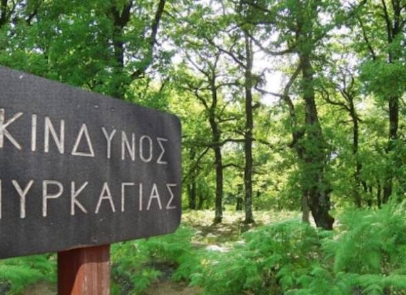 Σε επιφυλακή και σήμερα Πολιτική Προστασία και Πυροσβεστική – Συλλήψεις και πρόστιμα για πρόκληση πυρκαγιών σε 14 περιοχές – 5 στη Δυτ. Ελλάδα
