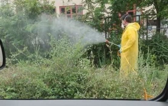 Ιός Δυτικού Νείλου: 47 νέα κρούσματα την τελευταία εβδομάδα
