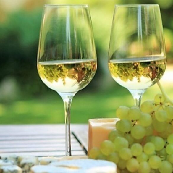 Οι εντυπώσεις του Master of Wine Γιάννη Καρακάση για τα Μοσχοφίλερα του 2025
