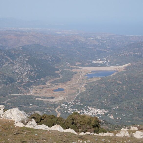 Απίστευτη οικολογική καταστροφή σε υγροβιότοπο της Χερσονήσου – Πεθαίνουν ψάρια και πουλιά