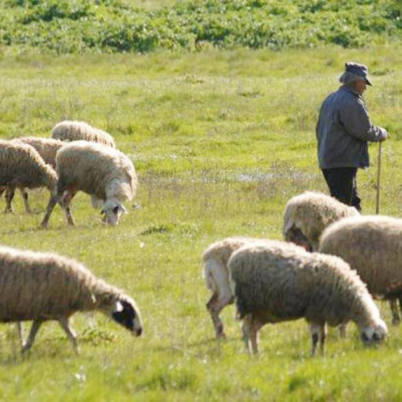 Πρώτος μαζικός επιτόπιος έλεγχος για αγροτικές επιδοτήσεις