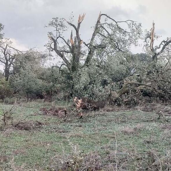 Δυτ. Ελλάδα: Ζημιές από ανεμοστρόβιλο στη Βουπρασία