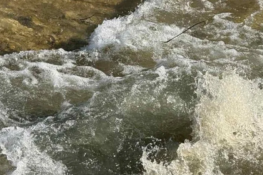 Έρευνα του Πανεπιστημίου Πατρών για τα λύματα «αποκαλύπτει» τη μικροβιακή αντοχή