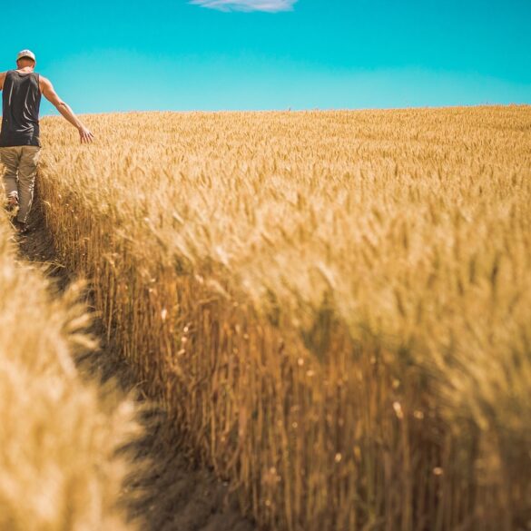 European Organic Awards 2023: Έλληνας ο καλύτερος Ευρωπαίος αγρότης βιολογικών προϊόντων