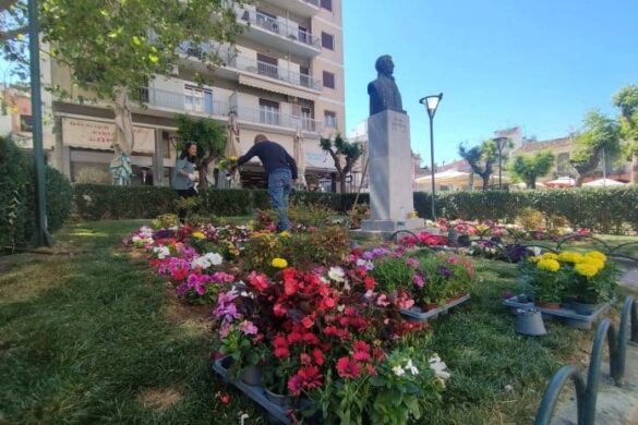 Πάτρα: Το Μαρκάτο “πρασίνισε” και ομόρφυνε