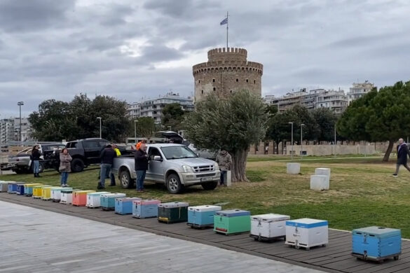 Αγρότες: Συμβολική διαμαρτυρία μελισσοκόμων με δεκάδες άδειες κυψέλες στον Λευκό Πύργο