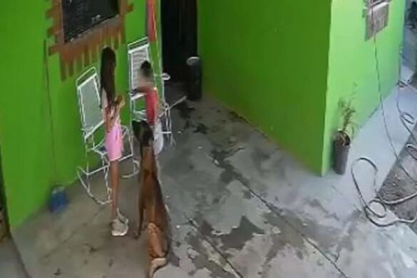 Μεξικό: Άγρια επίθεση σκύλου σε 7χρονη – Έκανε 68 ράμματα στο κεφάλι