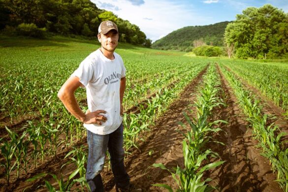 Διευκρινίσεις για το ειδικό καθεστώς αγροτών