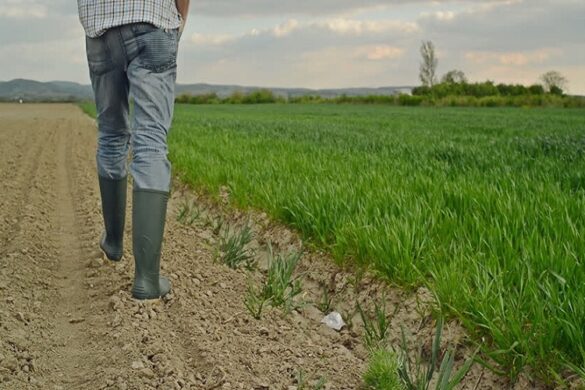 ΚΑΠ: Η ενίσχυση για την εφαρμογή των περιοχών οικολογικής εστίασης