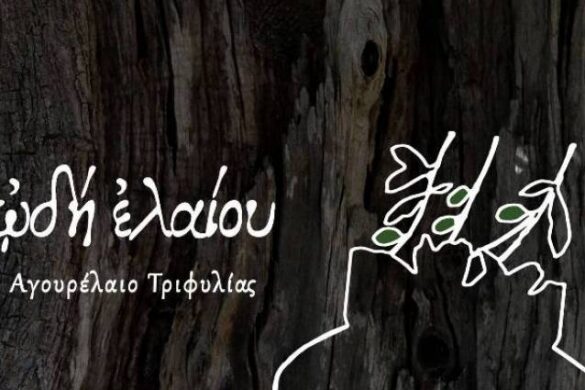 Ωδή ελαίου… Αυθεντικό Αγουρόλαδο από την Τριφυλιακή γη