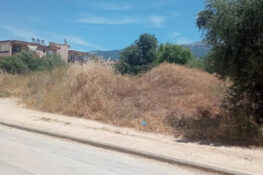 Πάτρα: Εγκαταλελειμμένος χώρος «πύρινη βόμβα» δίπλα σε σχολείο