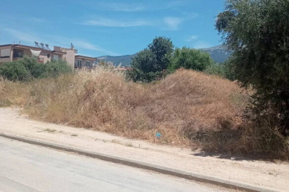 Πάτρα: Εγκαταλελειμμένος χώρος «πύρινη βόμβα» δίπλα σε σχολείο