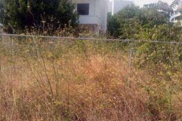 Καλάβρυτα: Οι υποχρεώσεις των ιδιοκτητών για τον καθαρισμό οικοπέδων